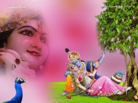 1024X768-Krishna Wallpapers_1209