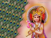 1024X768-Krishna Wallpapers_995