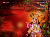 Krishna-1024X768_101