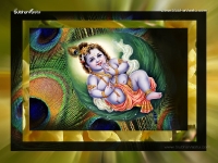 Krishna-1024X768_104
