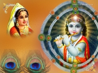 Krishna-1024X768_111