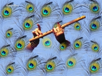 Krishna-1024X768_114