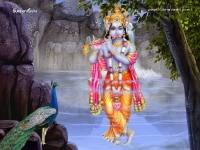 Krishna-1024X768_115