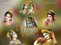 Krishna-1024X768_116