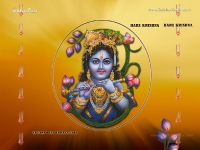 Krishna-1024X768_116