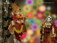 Krishna-1024X768_118