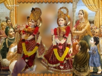 Krishna-1024X768_120