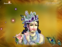 Krishna-1024X768_123
