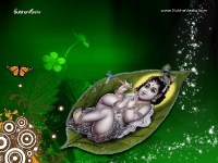 Krishna-1024X768_132