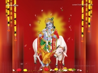 Krishna-1024X768_136
