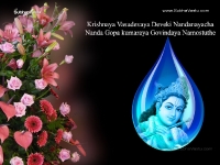 Krishna-1024X768_138