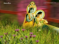 Krishna-1024X768_13