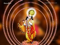 Krishna-1024X768_145