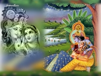 Krishna-1024X768_147