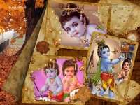 Krishna-1024X768_149