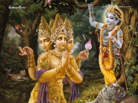 Krishna-1024X768_157