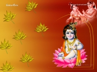 Krishna-1024X768_181
