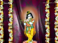 Krishna-1024X768_183