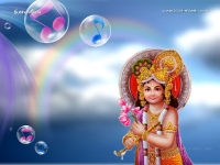Krishna-1024X768_184
