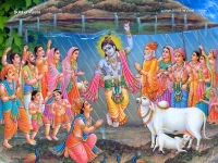 Krishna-1024X768_186