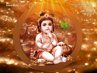Krishna-1024X768_18
