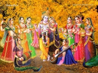 Krishna-1024X768_199