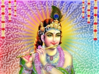 Krishna-1024X768_199
