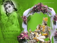 Krishna-1024X768_206