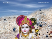 Krishna-1024X768_207