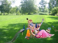 Krishna-1024X768_209