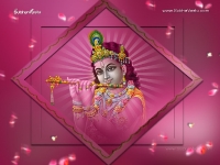 Krishna-1024X768_209