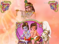 Krishna-1024X768_211