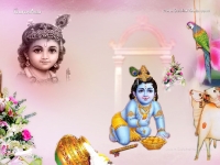 Krishna-1024X768_221