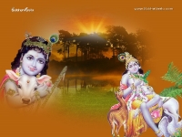 Krishna-1024X768_225