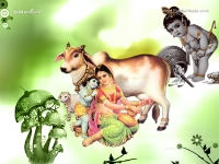 Krishna-1024X768_234