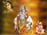 Krishna-1024X768_237