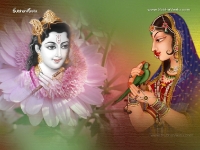 Krishna-1024X768_289