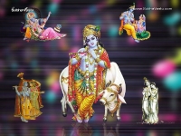 Krishna-1024X768_291