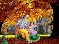 Krishna-1024X768_302