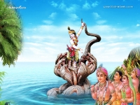 Krishna-1024X768_309