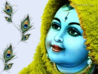 Krishna-1024X768_313