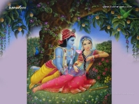 Krishna-1024X768_321
