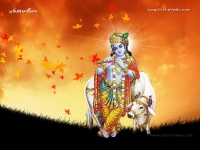 Krishna-1024X768_338