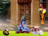 Krishna-1024X768_339