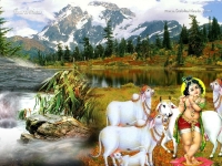 Krishna-1024X768_342