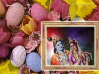 Krishna-1024X768_350