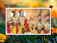 Krishna-1024X768_352