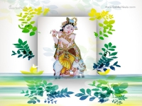 Krishna-1024X768_359