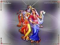 Krishna-1024X768_367