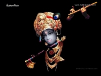 Krishna-1024X768_391